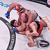 Timothy Johnson (14-6) defeated Matt Mitrione (13-8, 1 NC) via TKO (punches) at 3:14 of round one