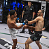 Omar El Dafrawy def. Jarrah Al-Silawi R1 3:09 via KO (Punches)